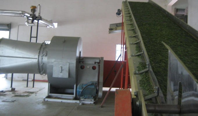 Moringa Processing